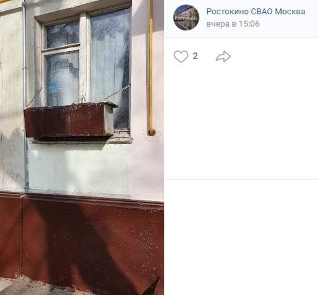 Коммунальщики покрасили хвост коту на Сельскохозяйственной