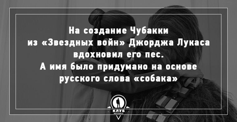 10 УДИВИТЕЛЬНЫХ ФАКТОВ О СОБАКАХ