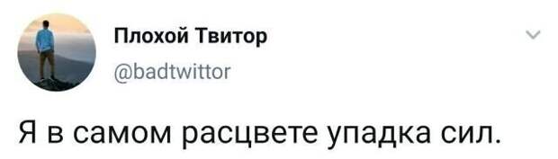 Смешные и поучительные скриншоты с просторов Рунета Смешные и поучительные скриншоты с просторов Рунета