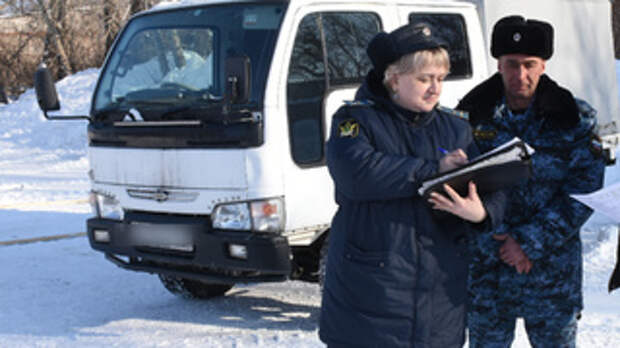 Японский грузовик / Фото: r22.fssp.gov.ru