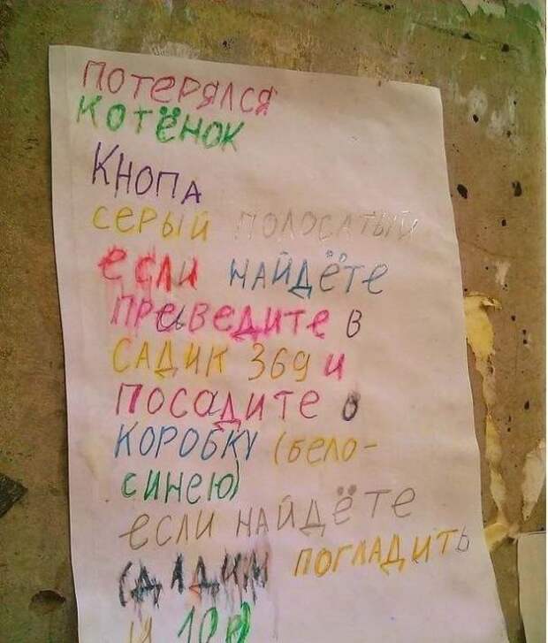 Самые теплые объявления и вывески (15 фото) Самые теплые объявления и вывески (15 фото)