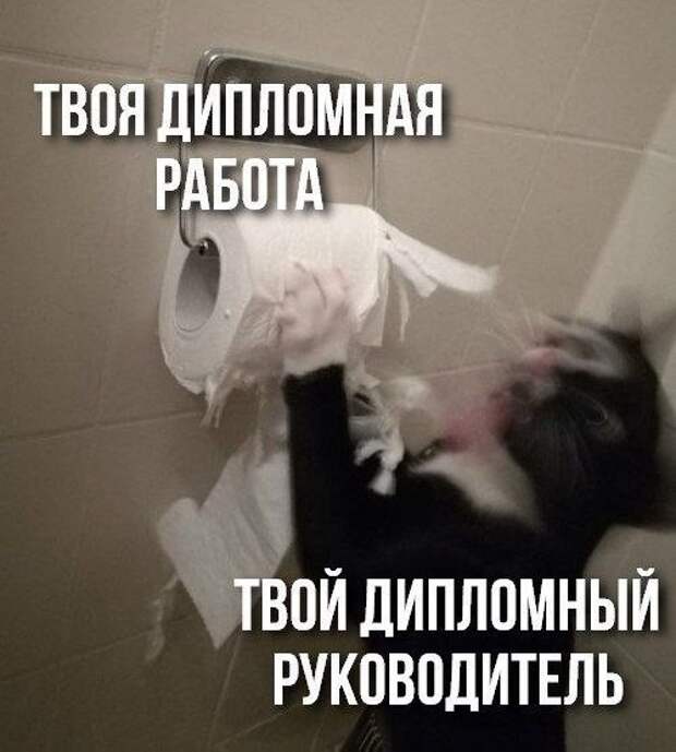 изображение: Твоя дипломная работа и твой дипломный руководитель #Котоматрицы