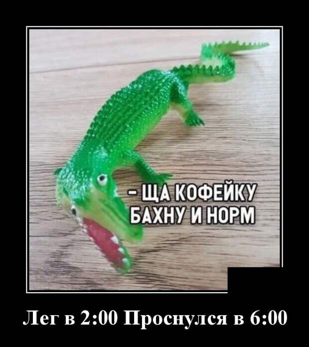 Демотиваторы (30 фото)