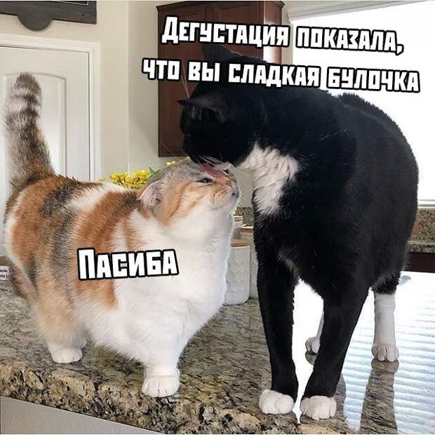 Прикольные картинки абавсём:D