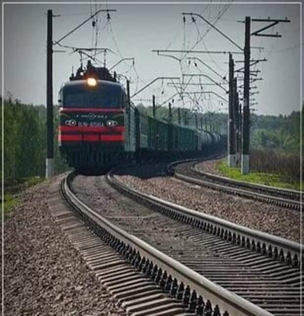 Про безопасность, глупость и сохранность жизни