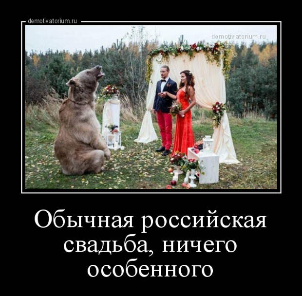 Демотиватор Обычная российская свадьба, ничего особенного