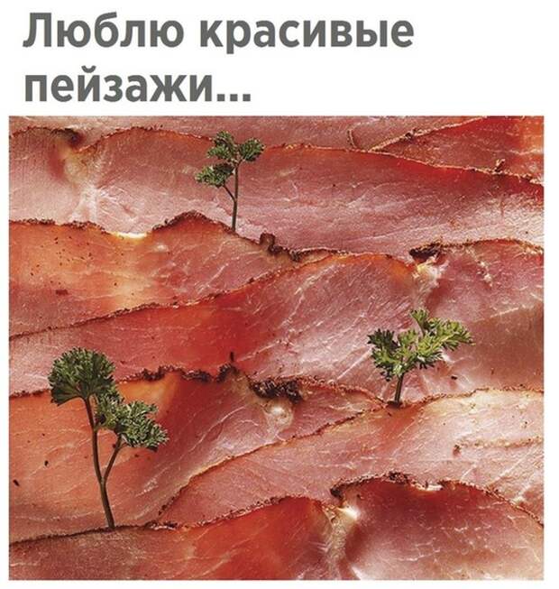 Красивые пейзажи