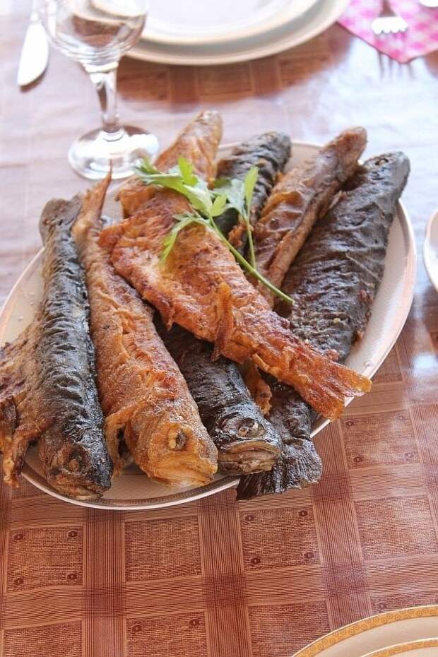 Дагестан, ГЭС. фотографии, Аксанов Нияз, kukmor, Чиркейская ГЭС, Чиркейское водохранилище, электростанция, жж, lj, of IMG_9020 Дагестан, ГЭС. фотографии, Аксанов Нияз, kukmor, Чиркейская ГЭС, Чиркейское водохранилище, электростанция, жж, lj, of IMG_9020