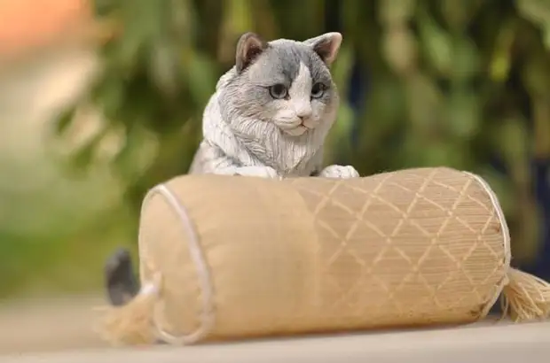 �������������� ��������, �������� ��������� ���������� ���������� ������� �����