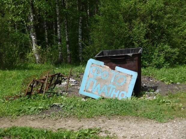 Прикольные картинки прикол, смех, юмор