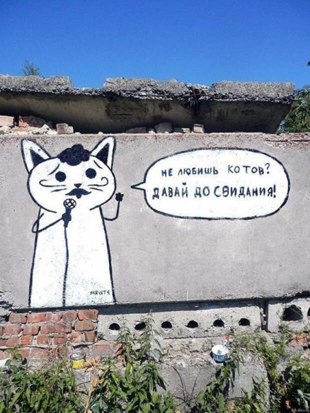 Субботний котопост-28 фото- Субботний котопост-28 фото-