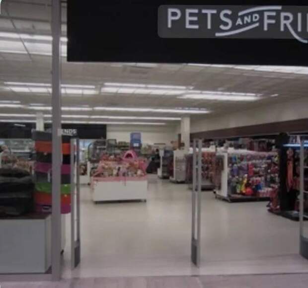 315 компаний обанкротились в Финляндии после закрытия границы с Россией