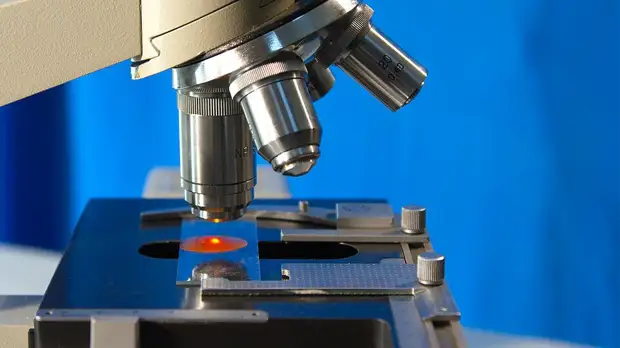 Россия поддержит научные коллективы в условиях санкций