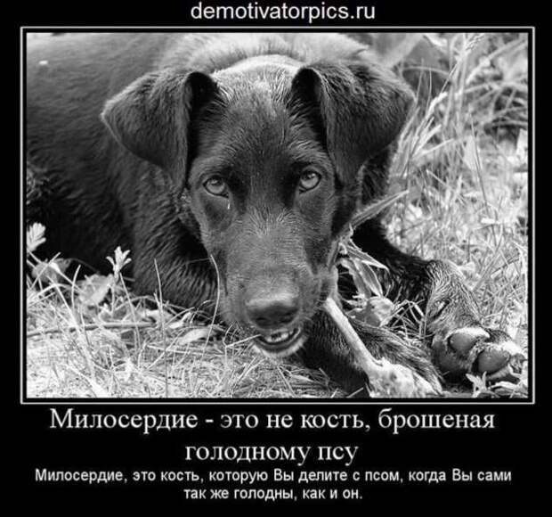 Прикольные демотиваторы с надписями. Подборка chert-poberi-dem-chert-poberi-dem-52310504012021-2 картинка chert-poberi-dem-52310504012021-2