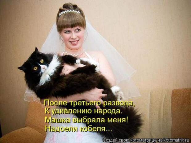 Котоматрицы(картинки с надписями)