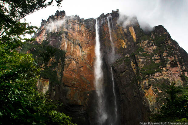 Анхель самый высокий в мире водопад AngelFalls11 Анхель самый высокий в мире водопад