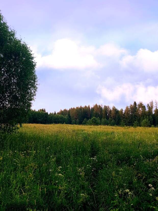 Красоты России (#657)