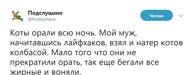 Высказывания и наблюдения для вашего настроения Высказывания и наблюдения для вашего настроения