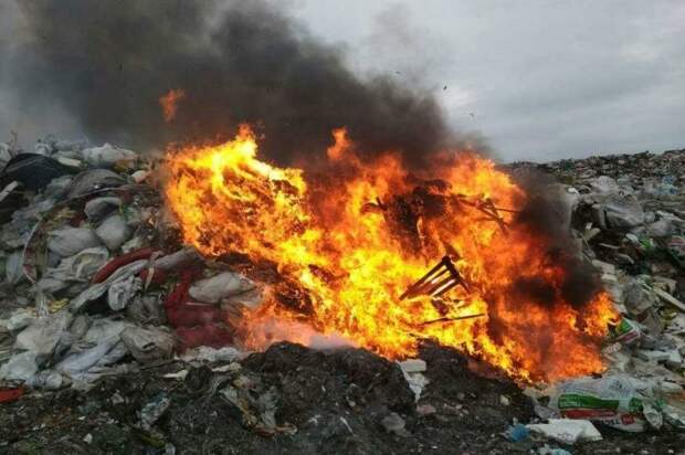 Из свободного доступа.