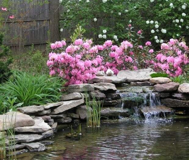 Яркие розовые цветы над искусственным водопадом
