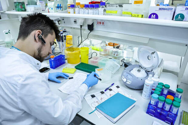 Ученые нашли способ уничтожать вирус гепатита В