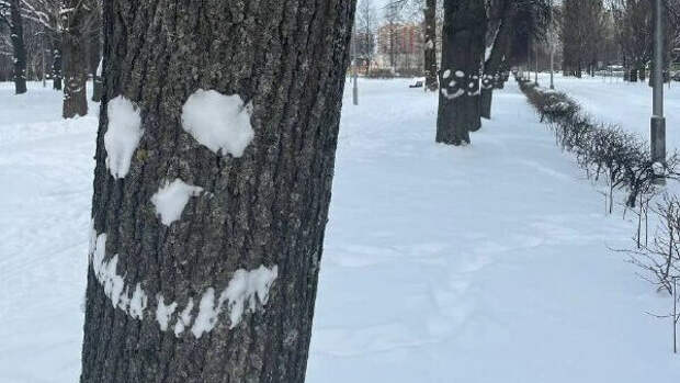 Неизвестный художник сделал "Аллею улыбок" в Полюстровском парке