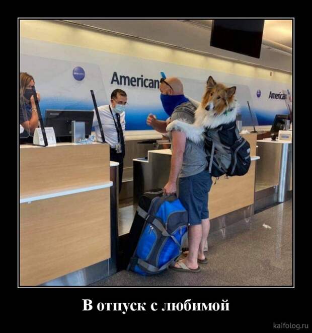 Весёлые демотиваторы (35 картинок)