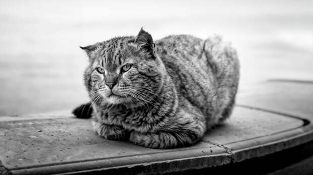 Утро нового дня