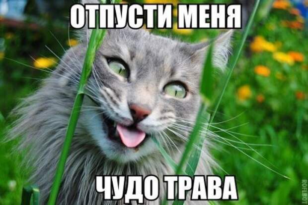 Прикольные фотомемы на Бугаге (23 шт)