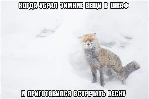 Прикольные картинки картинки из сети, прикол, юмор