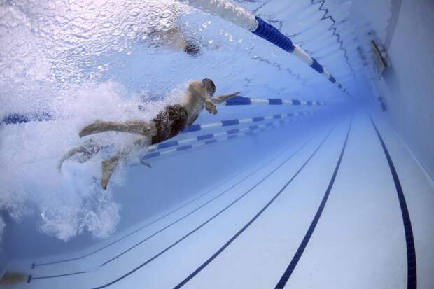 Молодежные соревнования по плаванию пройдут в «Академическом»