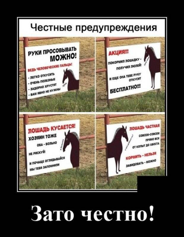 demotivatory-demotivator-smeshnye-demotivatory-demotivator-so-smyslom