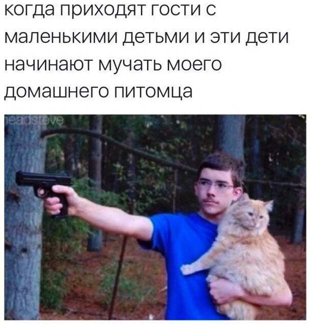Шутки и истории про 
