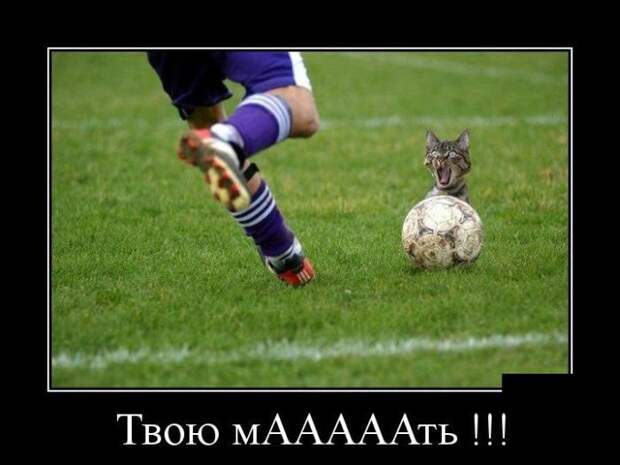 Демотиваторы и позитив