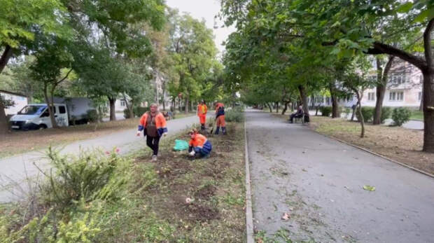 Аллею роз высадят в поселке под Симферополе