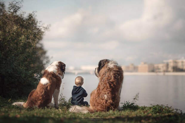 Ангелы-хранители. Фото: Andy Seliverstoff.