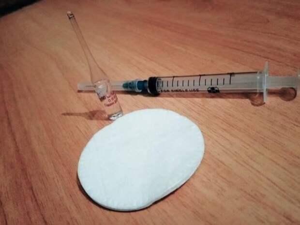 Вакцинация животных стартовала в Забайкалье