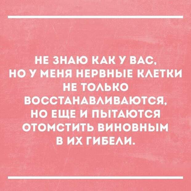 Смешные и жизненные анекдоты, которые точно заставят вас хохотать