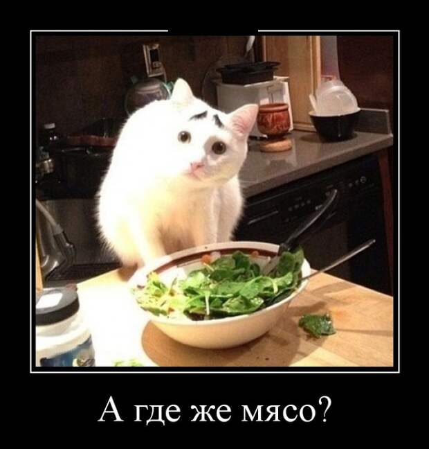 www.vsyako.net