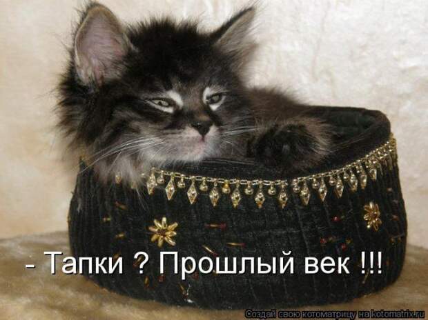 Мысли вслух :)
