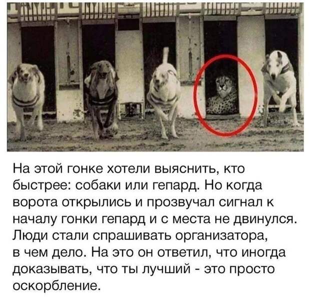 Историю выдумали от начала и до конца Историю выдумали от начала и до конца