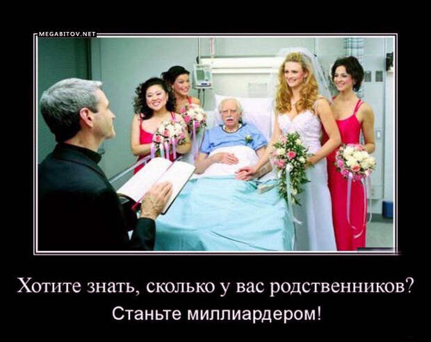 ДЕМОТИВАТОРЫ 13.09.2014