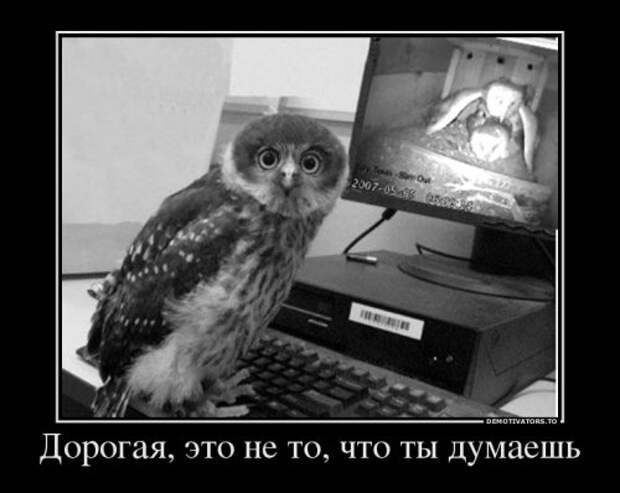 Новые прикольные демотиваторы (16 шт)