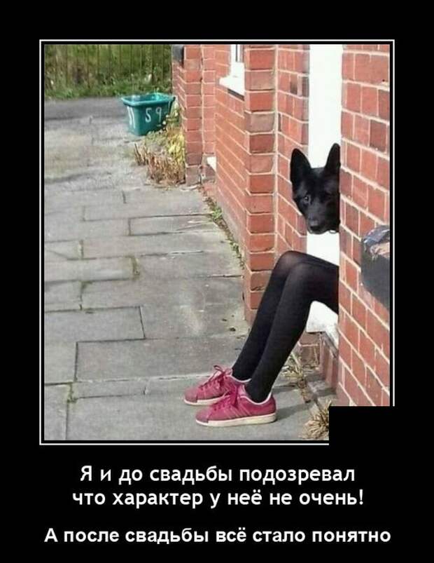 Демотиваторы 4 октября 2021 года