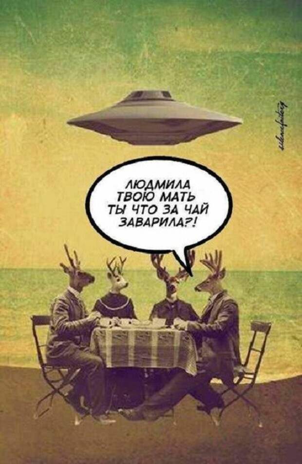 Очередная порция картинок с подписями картинки с подписью и без, подборка, позитив, юмор