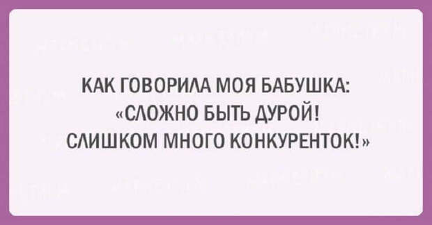 20 забавных открыток с мудростью от бабушек