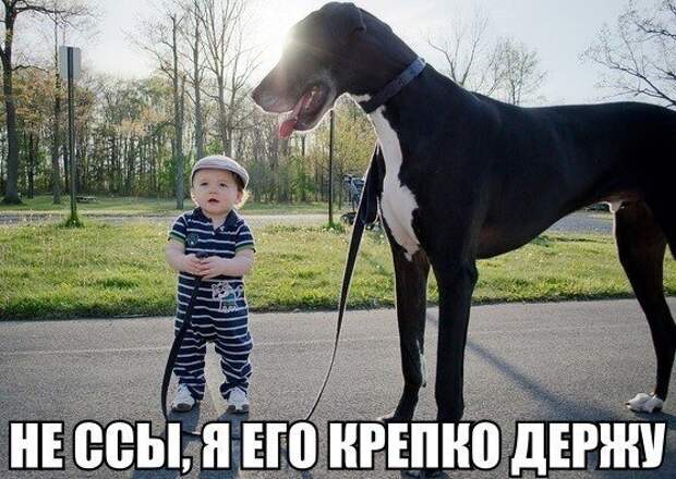 othljFvKDk0