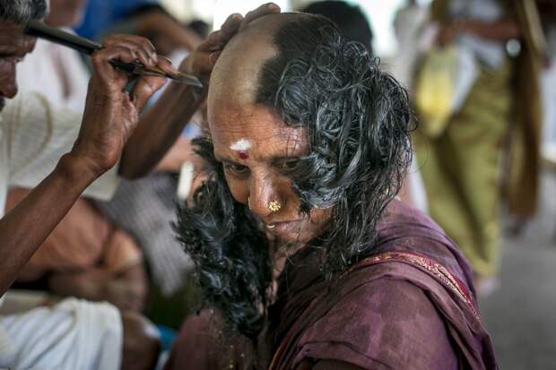 59-летняя Лакшми бреется налысо в храме Муругана в Тирутани, Индия Тирутани, бритые, волосы, религия, храм