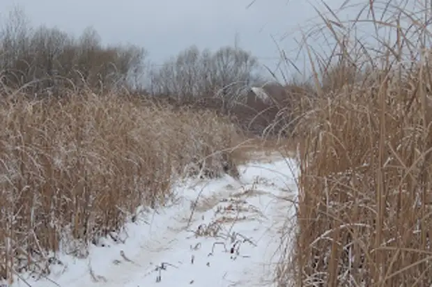 Рабство в новой форме.- АНЕКДОТЫ И УМНЫЕ МЫСЛИ.