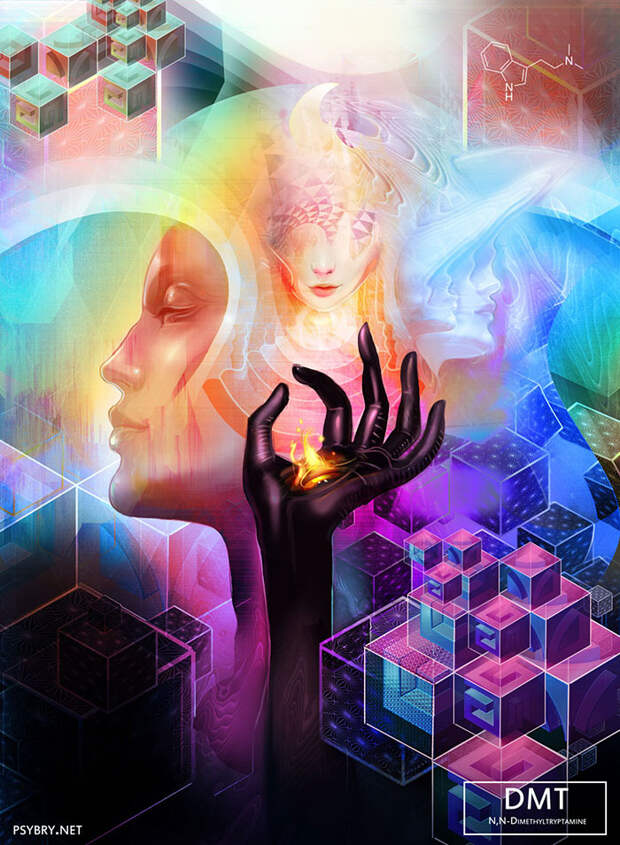 художник нарисовал 20 картин принимая 20 наркотиков